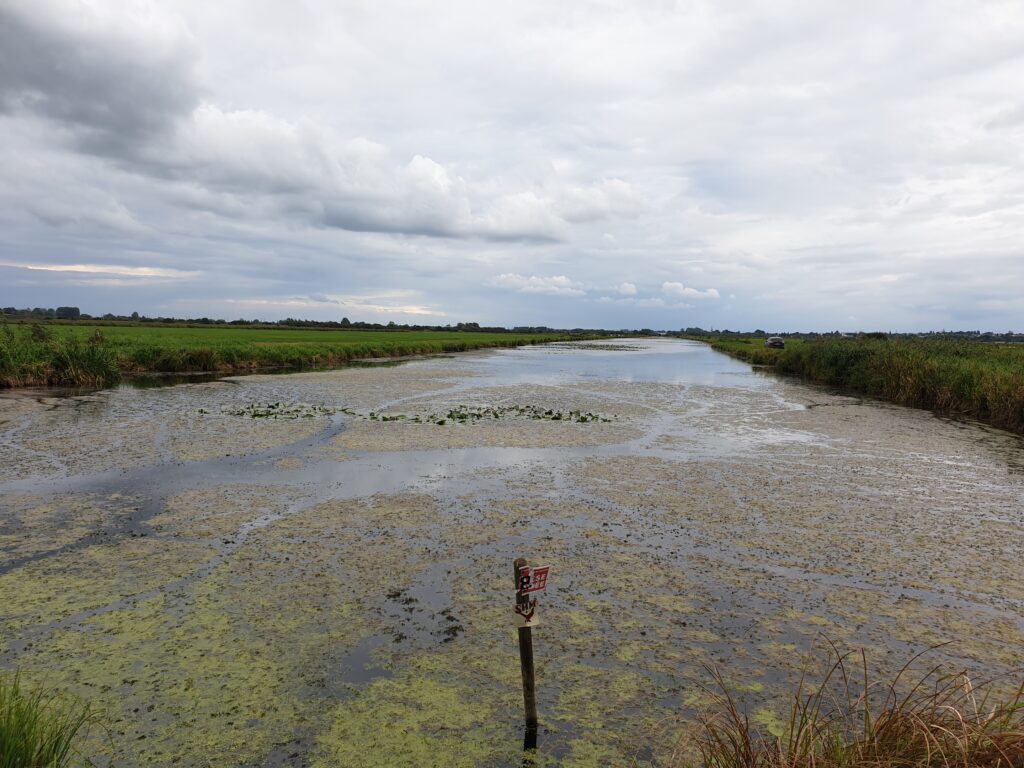 Canal des Espagnols à Carentan-les-Marais dans la Manche – guide CBD Carentan MJ Store