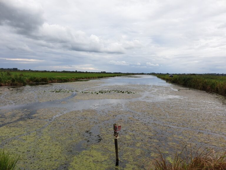 Canal des Espagnols à Carentan-les-Marais dans la Manche – guide CBD Carentan MJ Store
