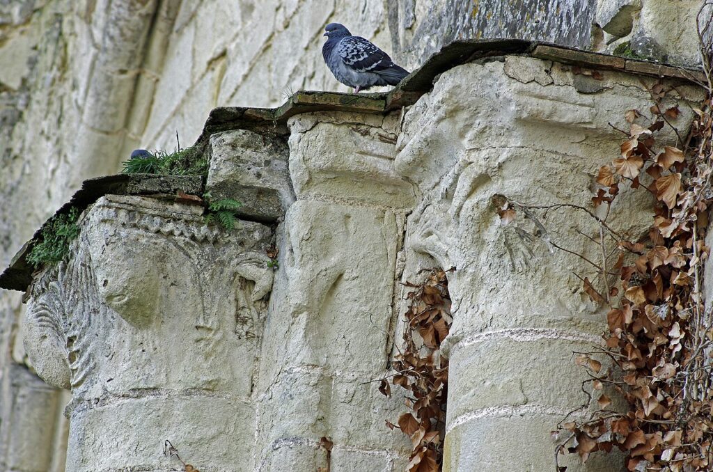 Collégiale Saint-Denis à Doué-en-Anjou dans le Maine-et-Loire