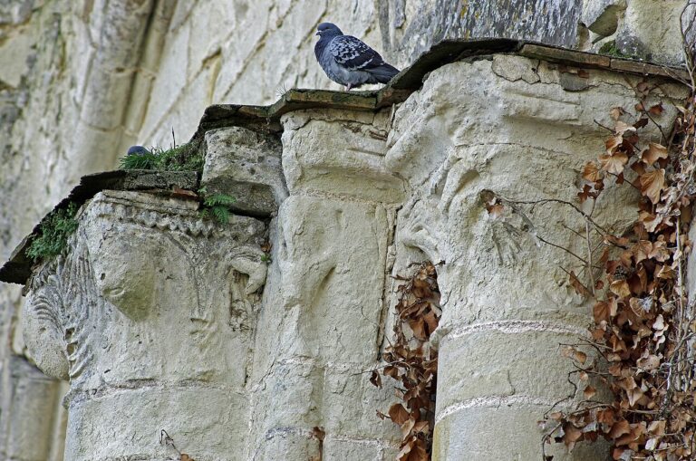 Collégiale Saint-Denis à Doué-en-Anjou dans le Maine-et-Loire