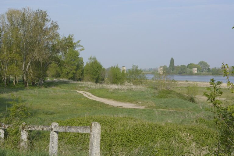 Parc des Mées à La Chaussée-Saint-Victor près de Blois