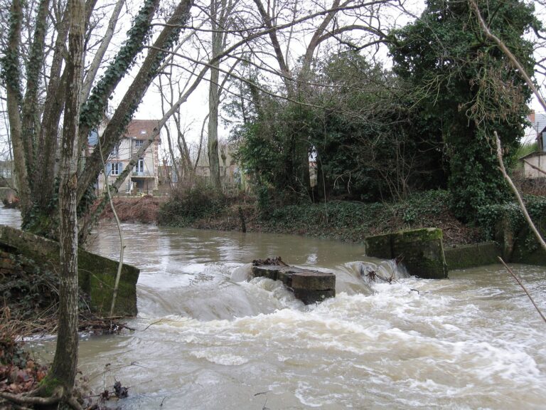 Le Beuvron à Lamotte-Beuvron en Sologne