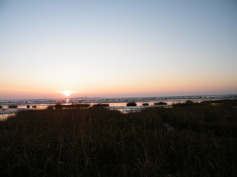 Le Crotoy et la baie de Somme