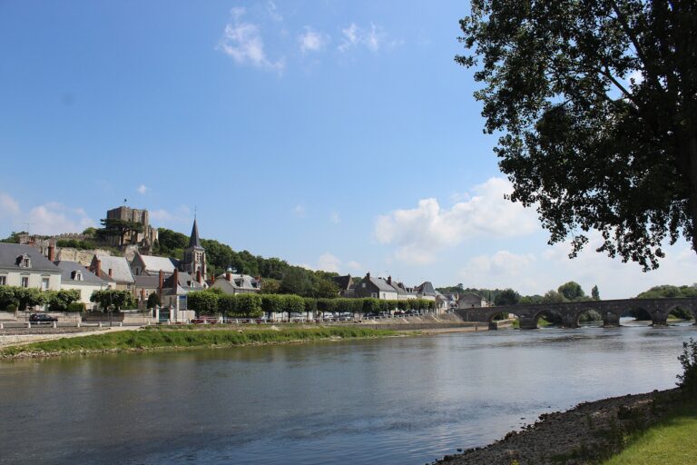 Vue de Montrichard Val de Cher dans le Loir-et-Cher