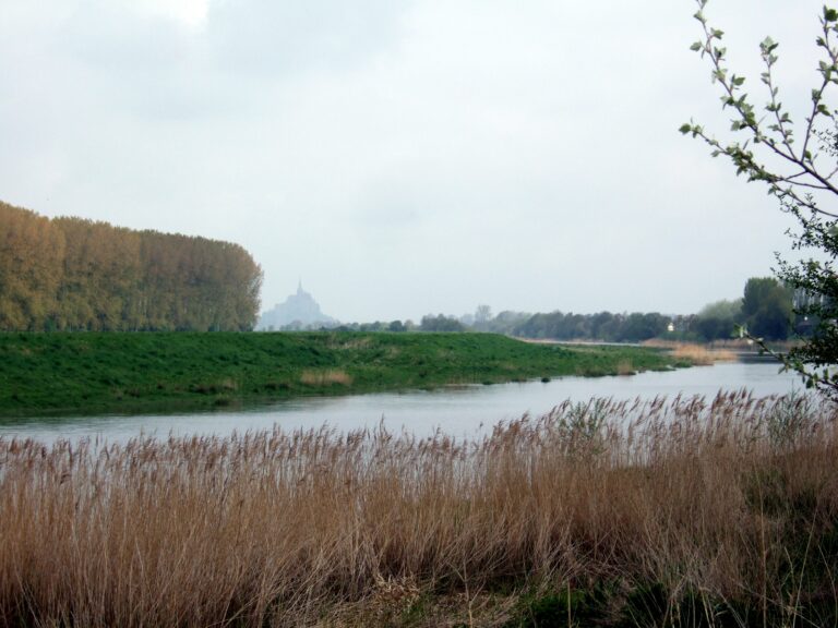 Vue depuis Pontorson vers le Mont-Saint-Michel – guide CBD Pontorson MJ Store