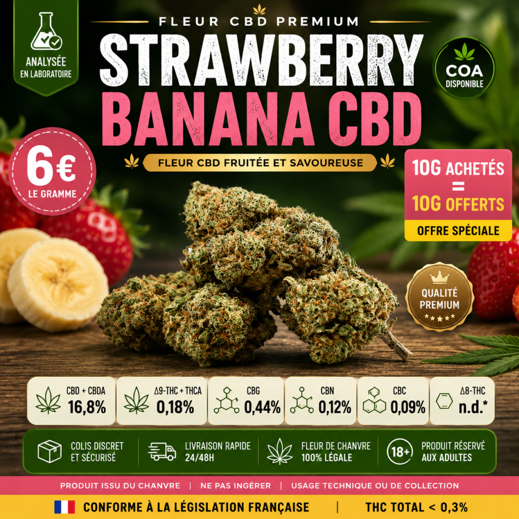 CBD à Yvetot et dans le Pays de Caux – sélection MJ Store