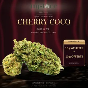 Fleurs Cherry Coco CBD 17,7 % sur fond bordeaux et noir, avec le logo MJ Store et l’offre 10 g achetés = 10 g offerts.