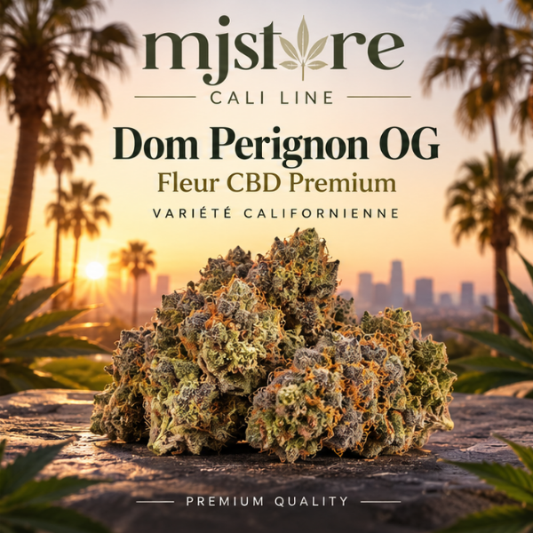 Dom Perignon OG CBD, fleur Cali Line présentée par MJ Store