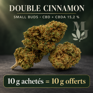Double Cinnamon CBD Small Buds, CBD + CBDA 15,2 %, logo MJ Store et offre 10 g achetés = 10 g offerts