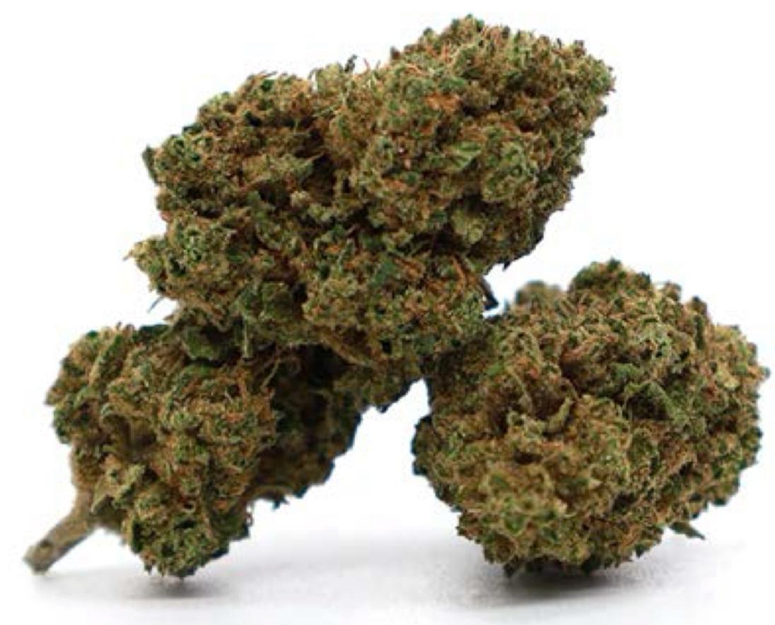 Photo fournisseur originale des fleurs Double Cinnamon CBD Small Buds