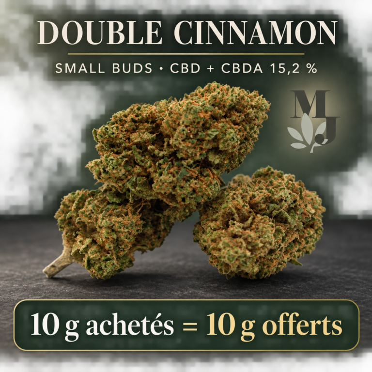 Double Cinnamon CBD Small Buds 15,2 % CBD + CBDA, monogramme MJ Store et offre 10 g achetés = 10 g offerts