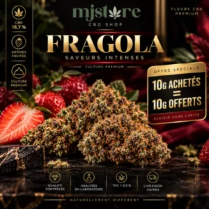 Visuel commercial Fragola CBD 18,7 % sur fond noir et bordeaux, avec l’offre 10 g achetés = 10 g offerts et le logo MJ Store.