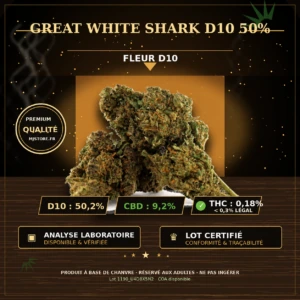 Fleurs Great White Shark D10 50 % sur fond sombre et doré