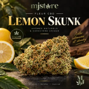 Visuel Lemon Skunk CBD MJ Store avec une fleur et des citrons sur fond sombre et doré.