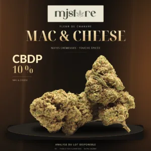 Mac & Cheese CBDP 10 % : fleurs sur un socle noir, fond brun et doré et logo MJ Store.