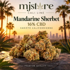 Visuel Mandarine Sherbet 16 % CBD Cali Line : fleurs au premier plan devant des palmiers au coucher du soleil