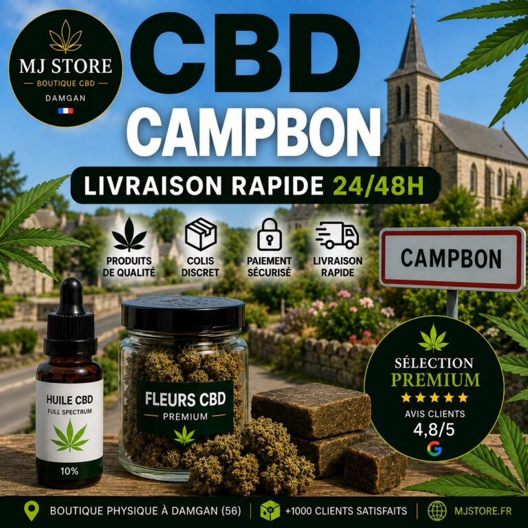 Illustration CBD Campbon : fleurs, résines et huile CBD, boutique MJ Store à Damgan