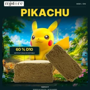 Deux blocs de hash Pikachu D10 60 % devant Pikachu, avec le logo officiel MJ Store