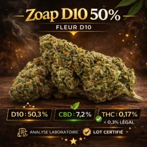 Têtes de fleurs Zoap D10 50 % sur un fond brun et doré