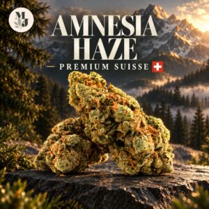 Amnesia Haze Premium Suisse, fleur sur pierre sombre dans un décor alpin avec drapeau suisse