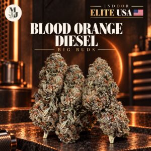 Blood Orange Diesel — Big Buds — Indoor Elite USA — visuel commercial MJ Store