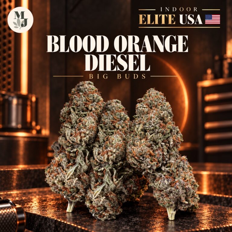 Blood Orange Diesel — Big Buds — Indoor Elite USA — visuel commercial MJ Store