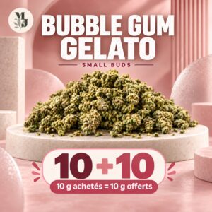 Bubble Gum Gelato — Small Buds — 10 g achetés = 10 g offerts