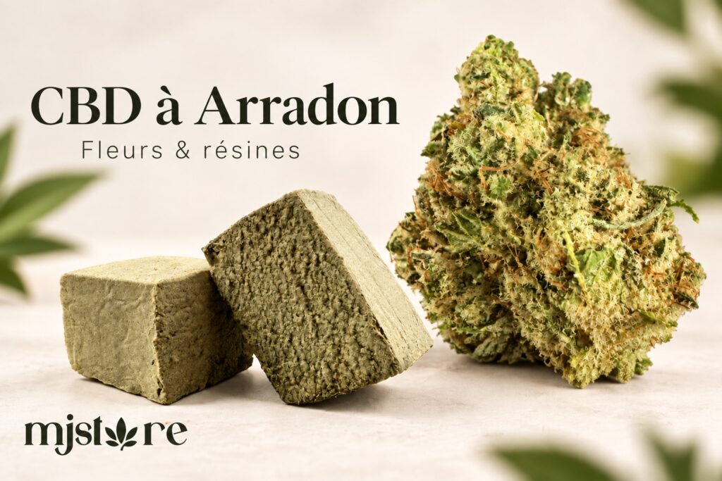 Fleurs et résines CBD MJ Store — Arradon