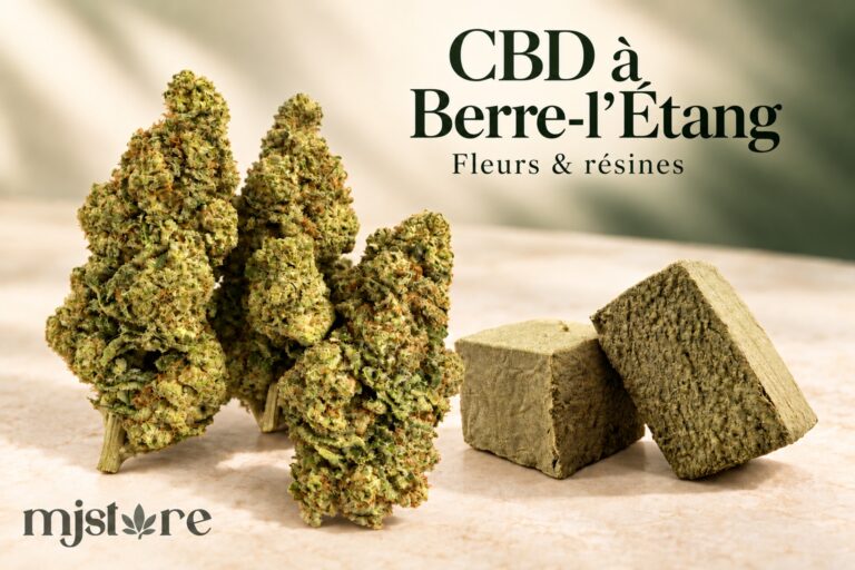 Fleurs et résines du catalogue MJ Store — CBD à Berre-l’Étang