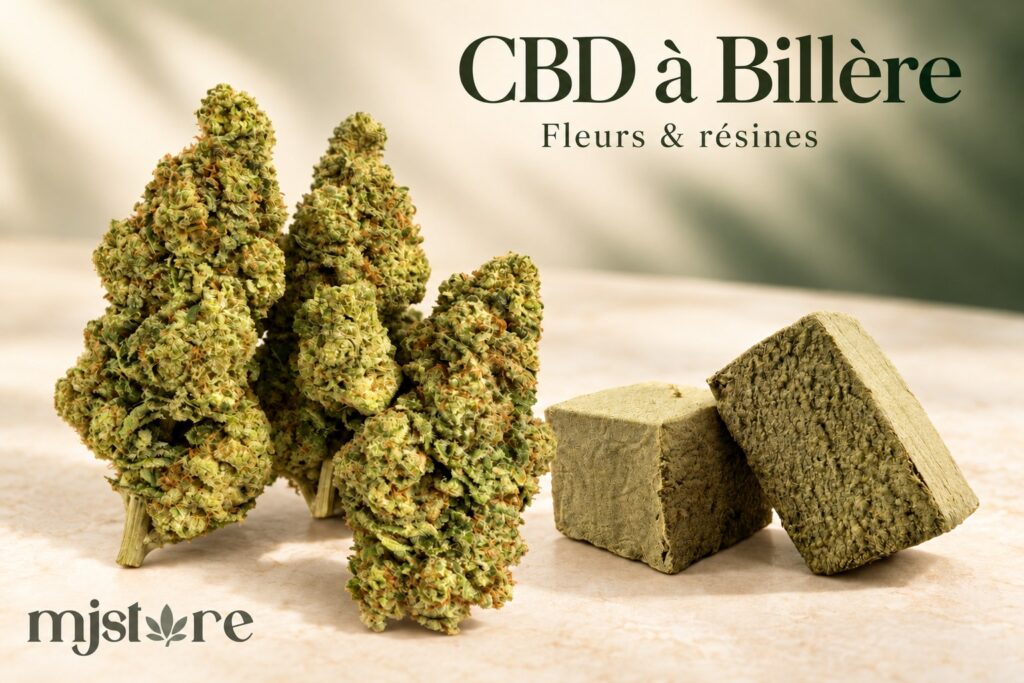Fleurs et résines CBD du catalogue MJ Store — Billère