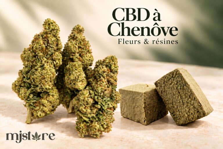 Fleurs et résines du catalogue MJ Store — CBD à Chenôve