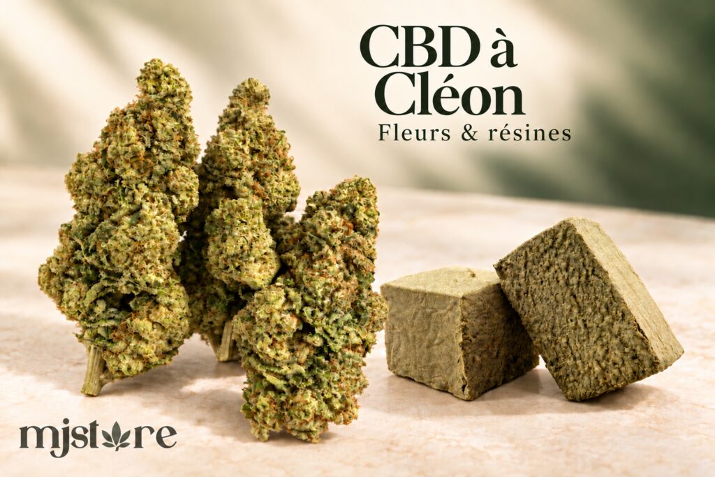 Fleurs et résines du catalogue MJ Store — CBD à Cléon