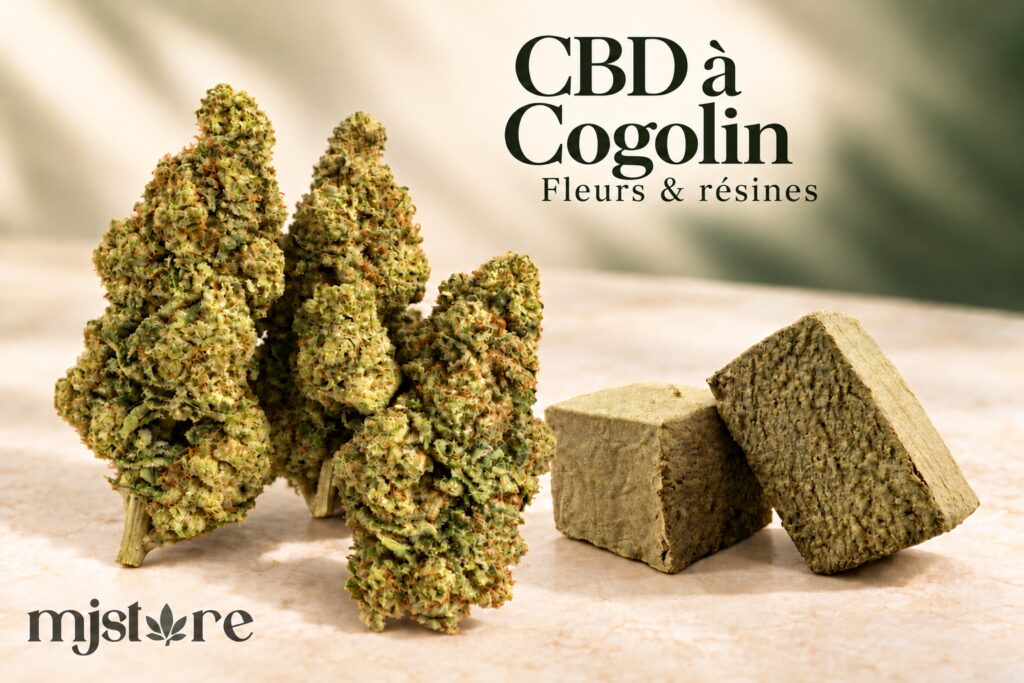 Fleurs et résines du catalogue MJ Store — CBD à Cogolin