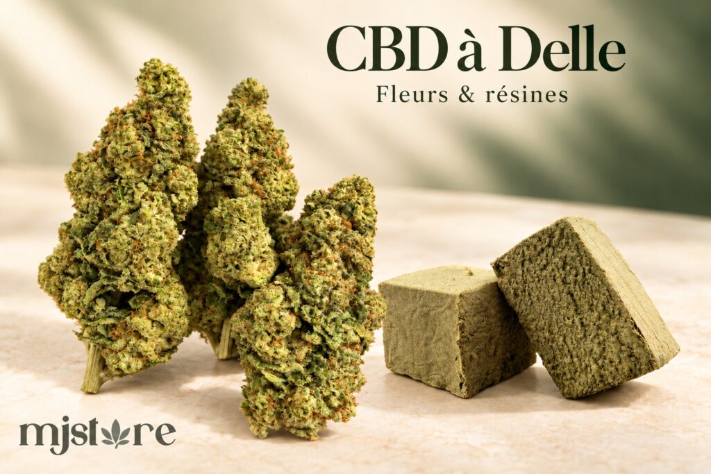 CBD à Delle : fleurs et résine CBD de la sélection MJ Store