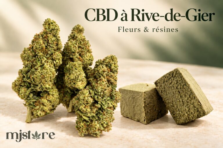 Fleurs et résines du catalogue MJ Store — CBD à Rive-de-Gier