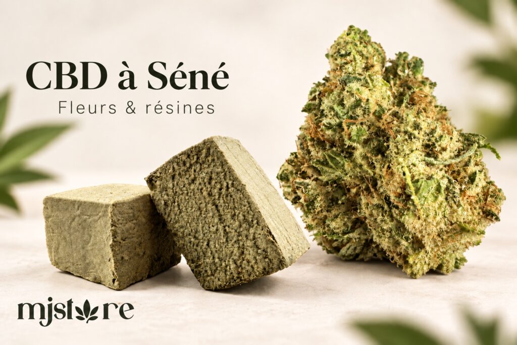 Fleurs et résines CBD MJ Store — Séné