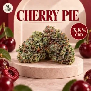 Cherry Pie CBD 3,8 %, visuel commercial MJ Store