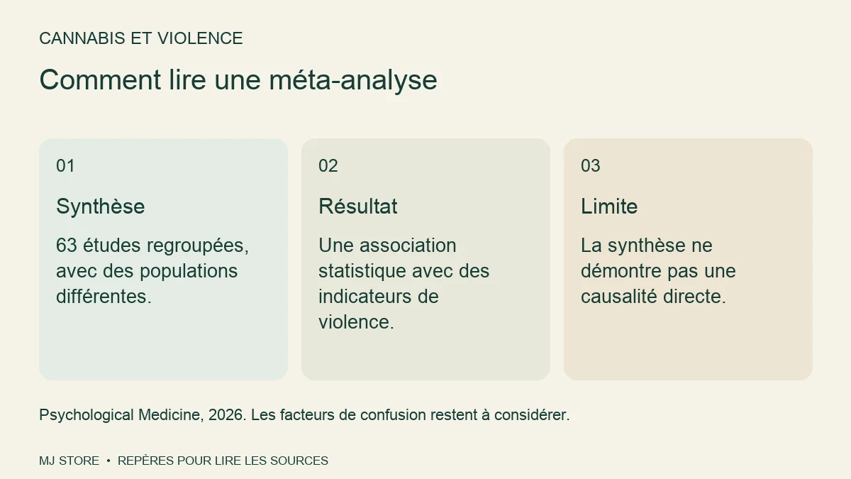 Comment lire une méta-analyse. Synthèse : 63 études regroupées, avec des populations différentes. Résultat : Une association statistique avec des indicateurs de violence. Limite : La synthèse ne démontre pas une causalité directe.
