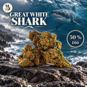Great White Shark D10 50 % — visuel océan MJ Store