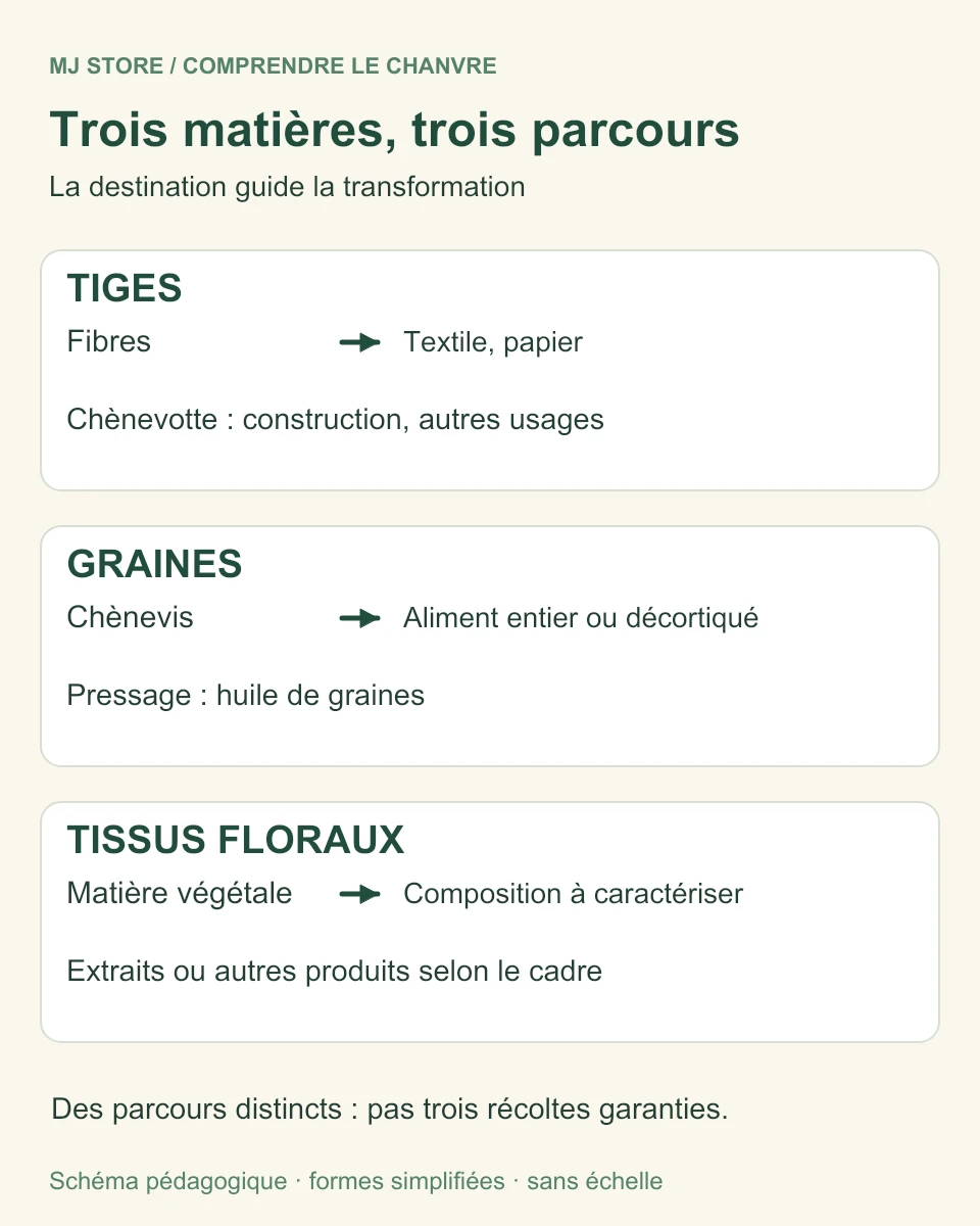 Schéma des filières du chanvre distinguant tiges, graines et tissus floraux.