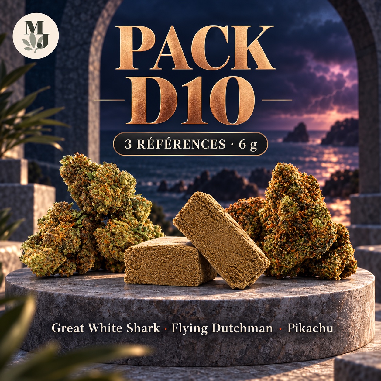 PACK D10 — références composant le pack