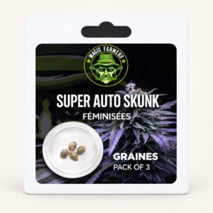 Super Auto Skunk Féminisées – Pack 3 Graines