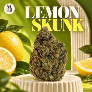LEMON SKUNK — logo MJ Store
