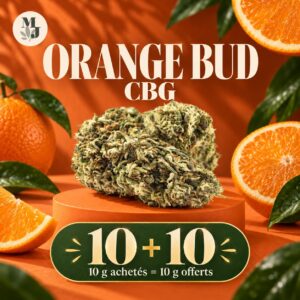 ORANGE BUD CBG — 10 g achetés = 10 g offerts — logo MJ Store