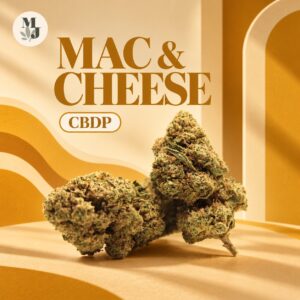 MAC & CHEESE — logo MJ Store