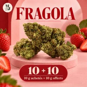 FRAGOLA — 10 g achetés = 10 g offerts — logo MJ Store