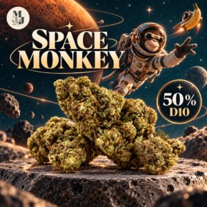 Space Monkey D10 50% – Fleur de chanvre analysée — MJ Store