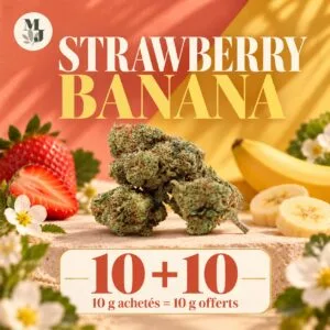 STRAWBERRY BANANA — 10 g achetés = 10 g offerts — logo MJ Store