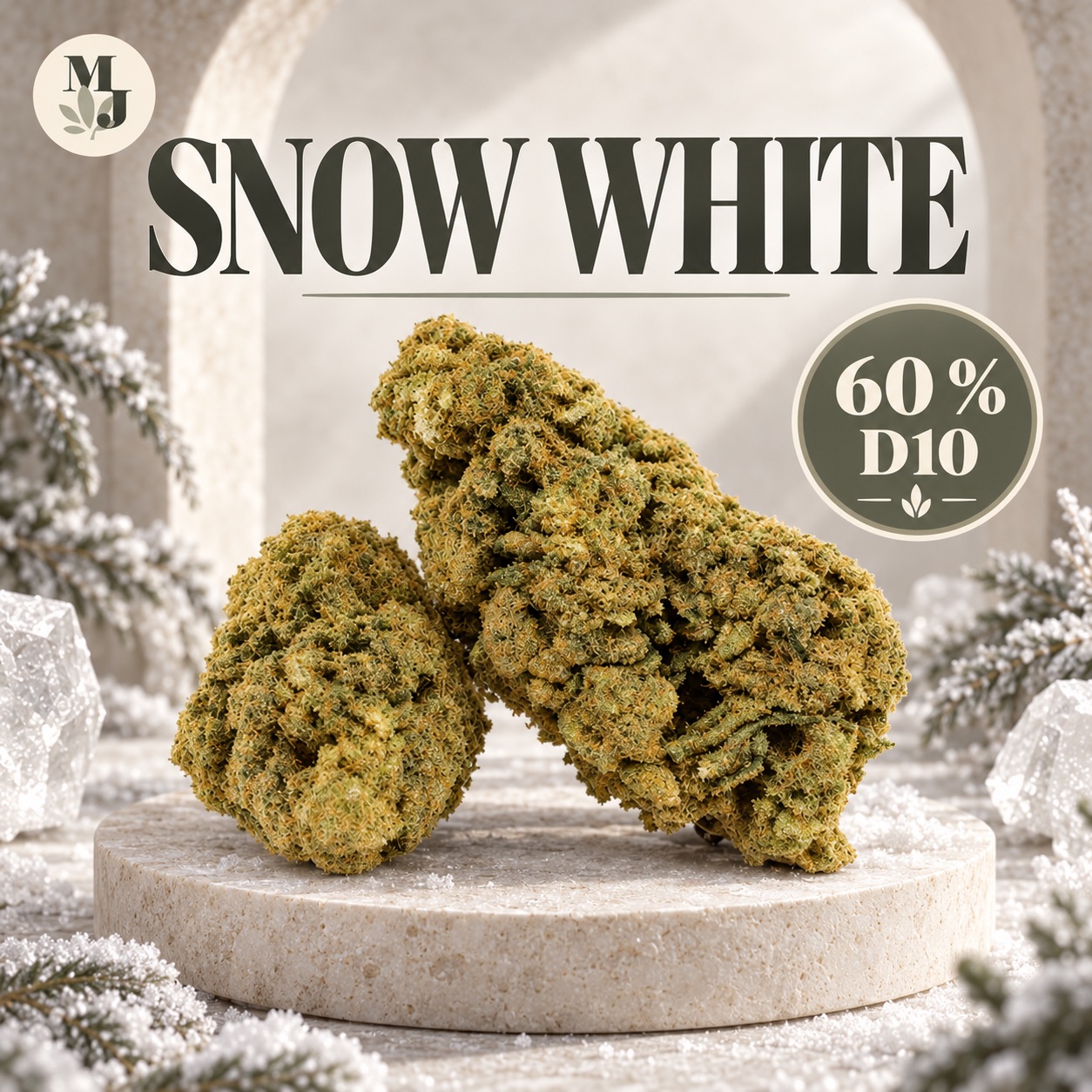 SNOW WHITE — D10 — visuel commercial MJ Store