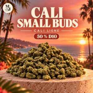 CALI SMALL BUDS — visuel commercial MJ Store